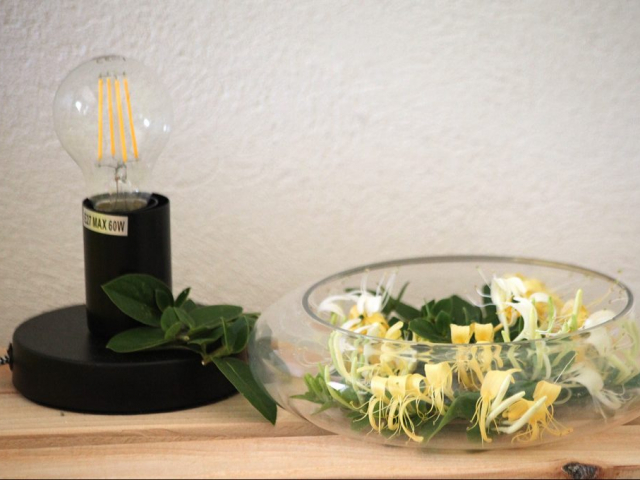 chambre gaugin 4 (2)